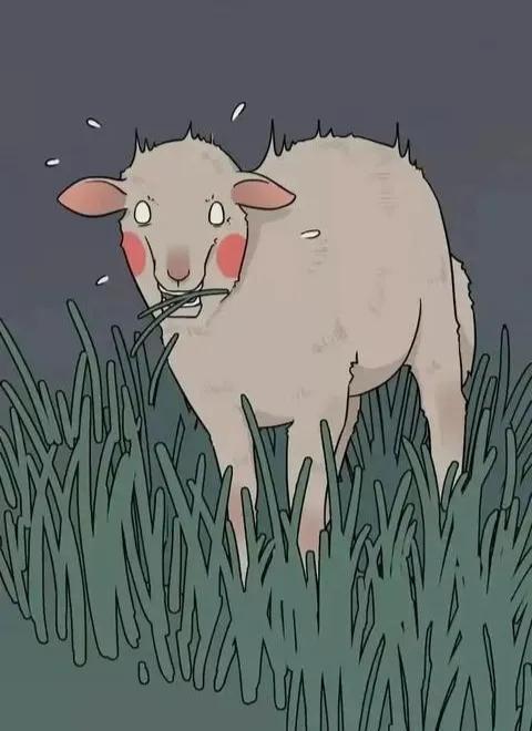 古代避孕的十大方法(古人如何避孕)(14)