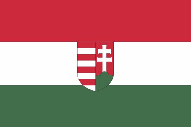 西班牙历代国旗变化(历史上的各国国旗中欧篇)(17)