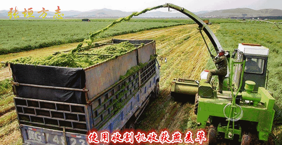 塞北主要指哪几个省市,塞北管理区名称的来历及发展历史(4)