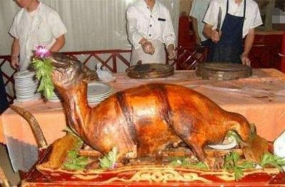 ​中国十大禁菜之炭烤乳羊 本料是将要生产的母羊（残酷极端）