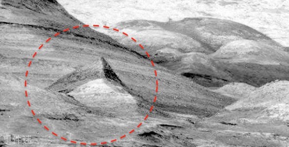 网络图片(侵删)
