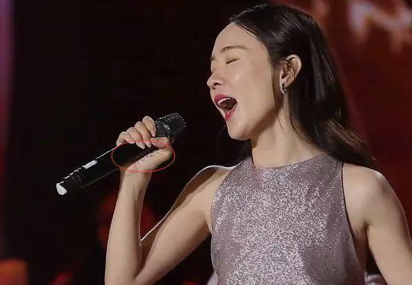 跨年晚会假唱明星有哪些（跨年晚会明星假唱盘点）(10)