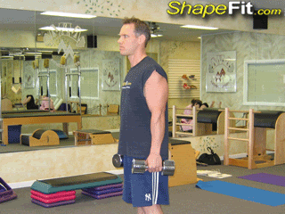 健身房训练器械标准动作（史上最全面健身房器械使用图解）(46)