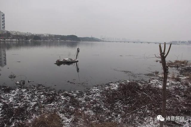 在线漫画阅读百年漫画网（天天漫画网全世界都在看他的漫画）(14)