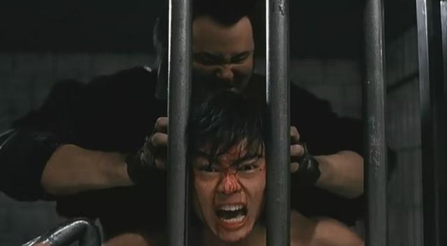 樊少皇鬼片电影全集（樊少皇的力王电影）(16)