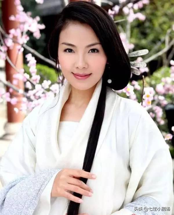刘涛古装电视剧都有哪些（刘涛演过不少的古装电视剧）(7)