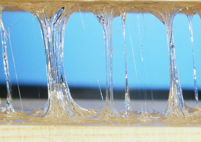 樟脑丸对蟑螂有用吗（快速消灭蟑螂方法分享）