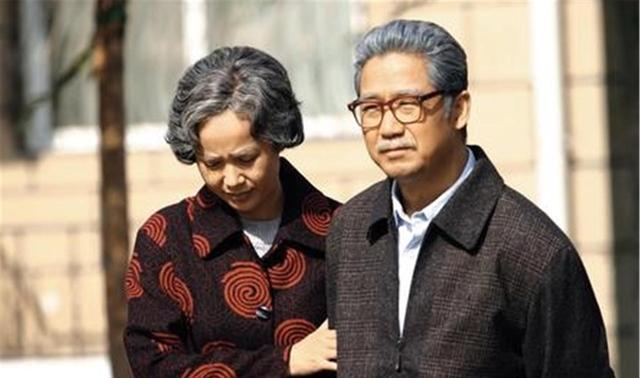 好看的国内家庭电视剧推荐（4部经典国产家庭剧）(6)