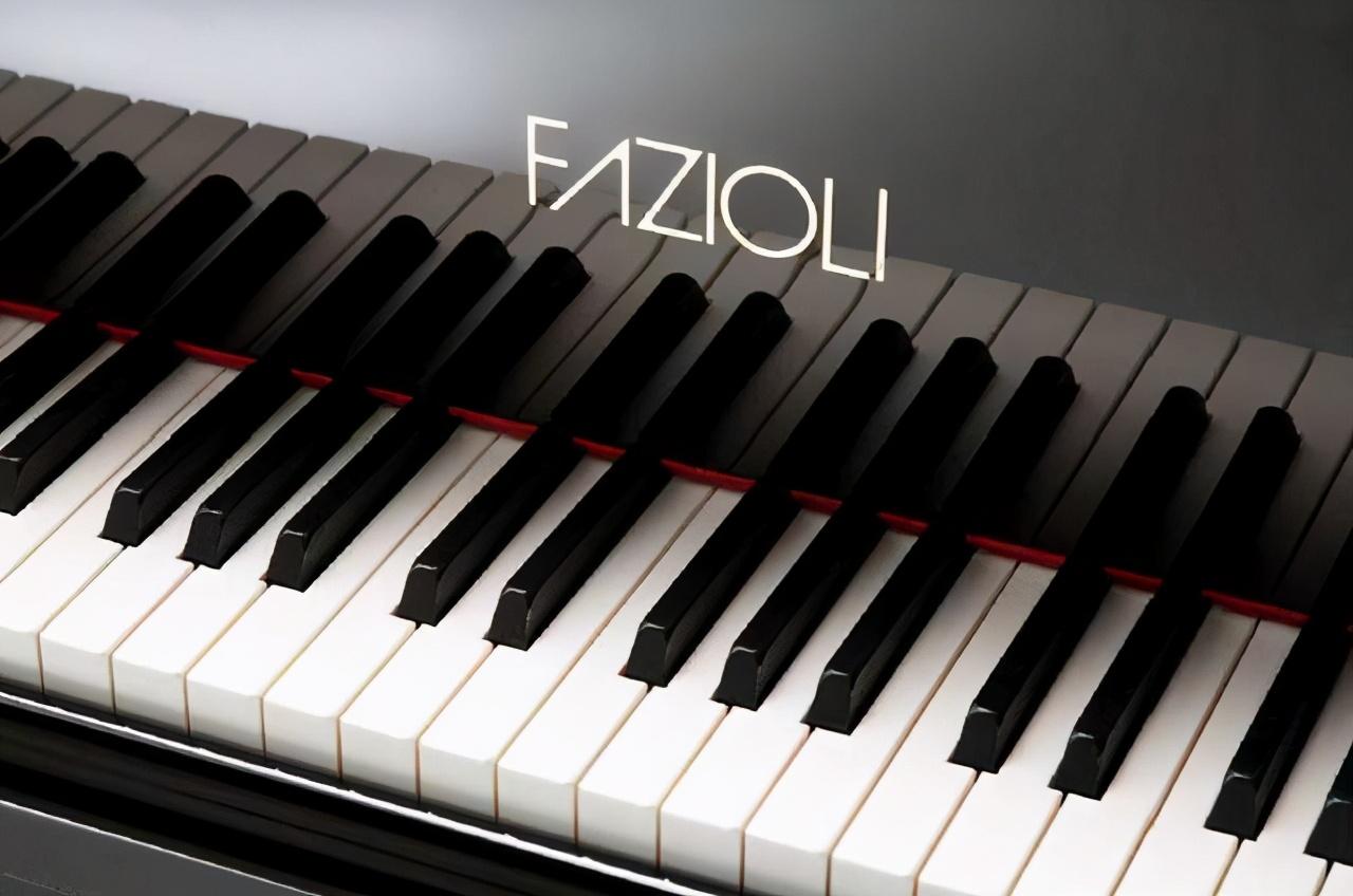 什么牌子的钢琴好钢琴排行榜（钢琴排行世界十大钢琴品牌）(图5)