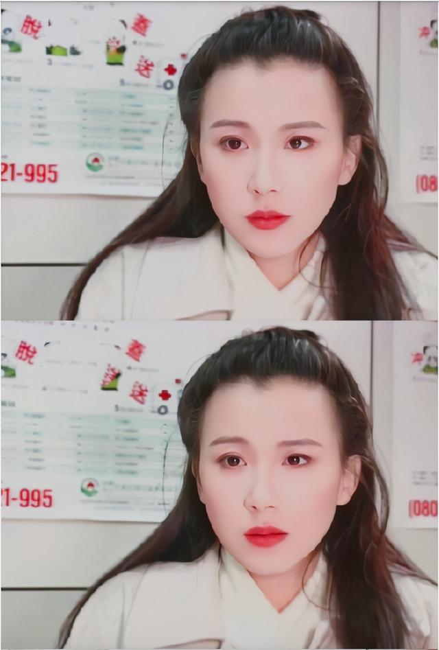 萧蔷演过的全部电视剧（萧蔷早年参演过的几部电视剧）(13)