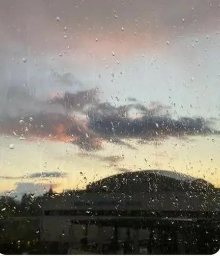 在细雨中呼喊余华深度解析(在细雨中哭喊余华)(6)