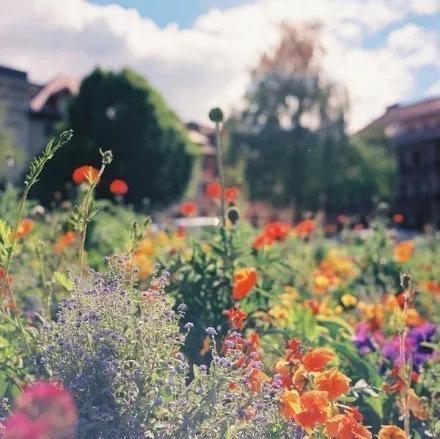 在细雨中呼喊余华深度解析(在细雨中哭喊余华)(3)