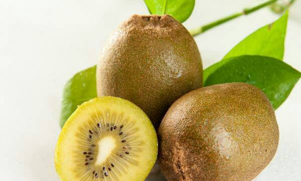 猕猴桃怎么看熟了没有,判断猕猴桃是否成熟图1