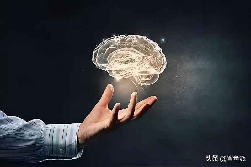 人的六商是什么(人生六商是哪六商)(图1) 人的六商是什么(人生六商是哪六商)(图1)