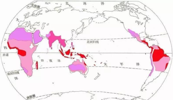 热带雨林气候主要分布在,热带雨林气候特点及分布地区成因图3