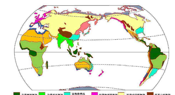 热带雨林气候的特点是什么?