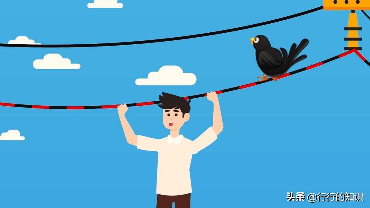 科学揭秘真实原因(小鸟站在高压线上为什么不会触电)