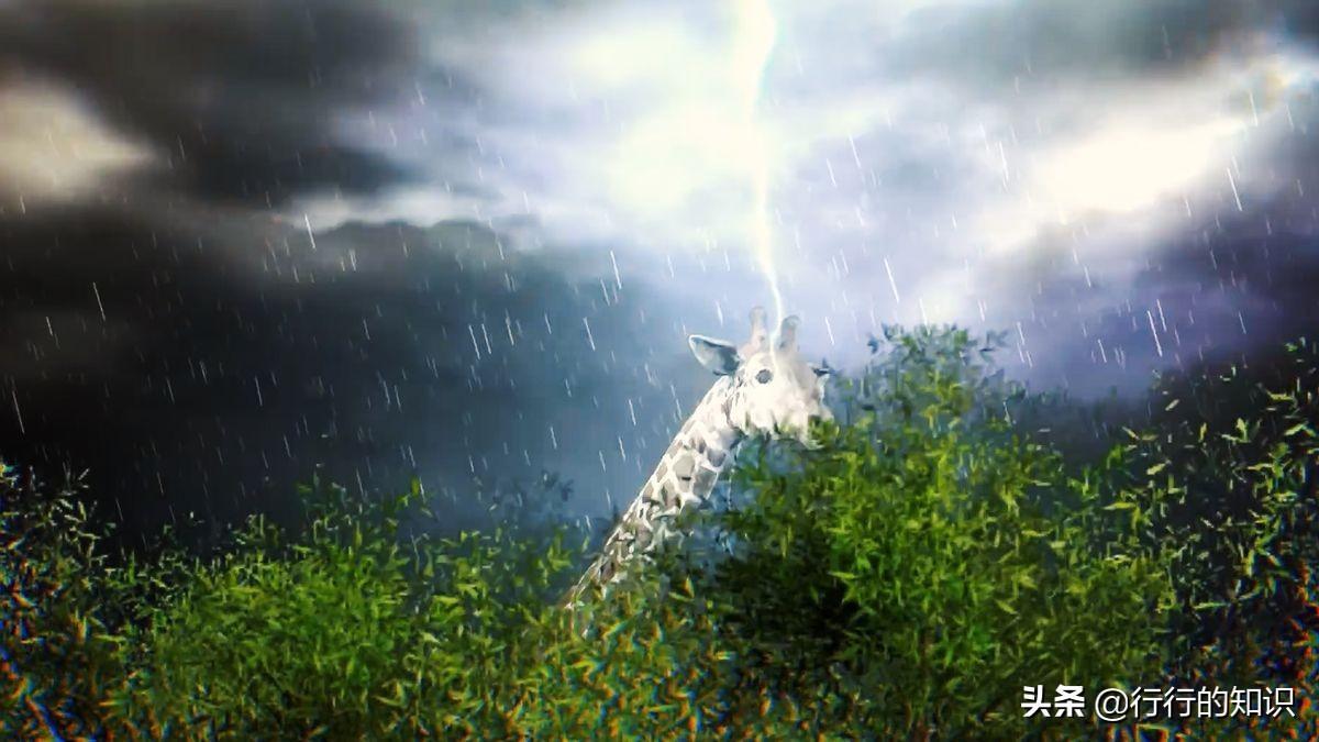 科学揭秘真实原因(小鸟站在高压线上为什么不会触电)