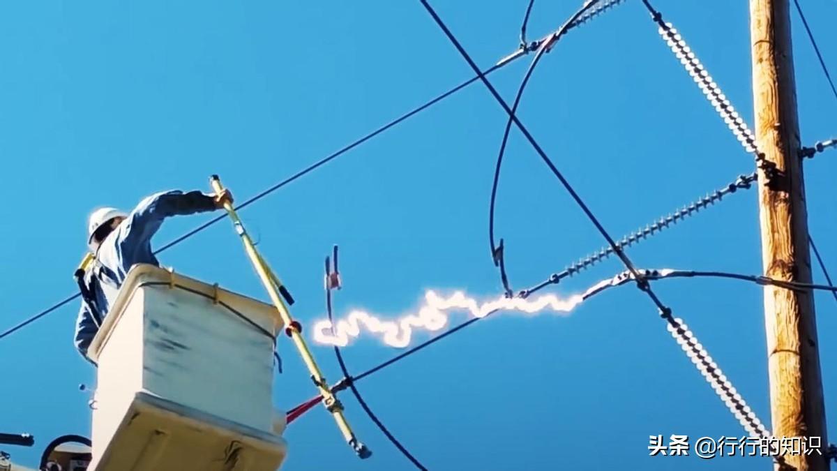 科学揭秘真实原因(小鸟站在高压线上为什么不会触电)