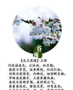 ​赞美谷雨的诗句,赞美谷雨的诗句有哪些