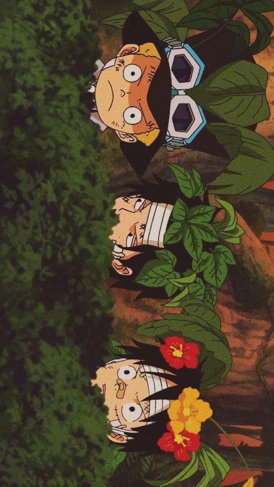 海贼王艾斯头像超清 海贼王头像火拳艾斯(17)