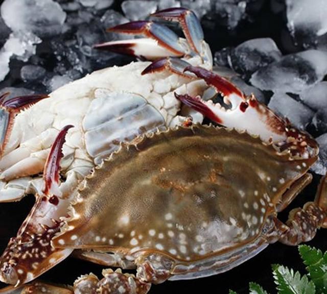 大闸蟹活着能冻起来吗,吃不了的螃蟹放冷冻上可以吗?图10