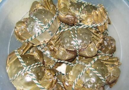 大闸蟹活着能冻起来吗,吃不了的螃蟹放冷冻上可以吗?图9