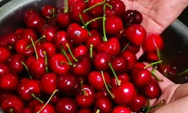 车厘子和樱桃的区别,樱桃和车厘子的区别是什么.g图4