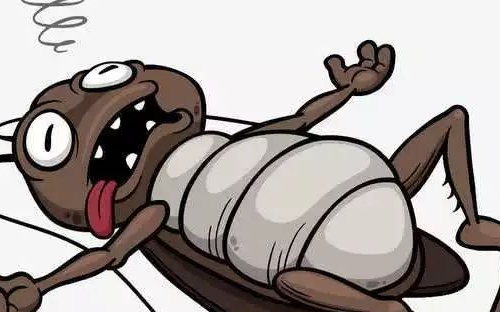 蟑螂打死后怎么处理,小蟑螂怎么消灭最彻底图4