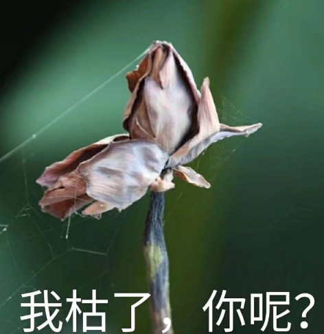 war3改键(魔兽3重制版公布)