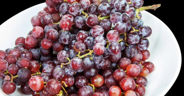 没有籽的葡萄可以吃,无籽葡萄有坏处吗图1