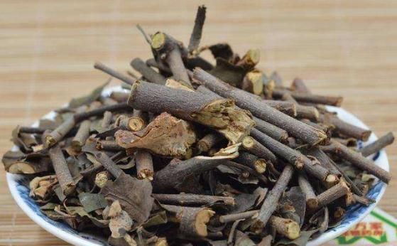 槲寄生是什么，20&nbsp;槲寄生是什么颜色？图3