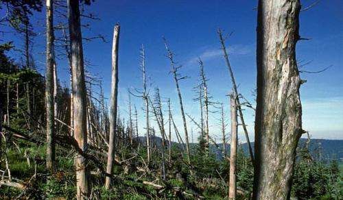 酸雨形成的原因,酸雨是怎么形成的图3