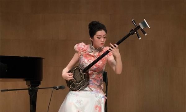 古典音乐乐器有哪些,中国十大古典乐器有哪些图4