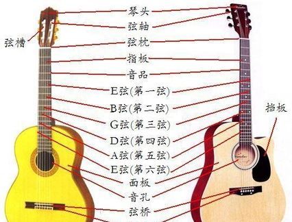 古典音乐乐器有哪些,中国十大古典乐器有哪些图5