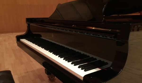 古典音乐乐器有哪些,中国十大古典乐器有哪些图6