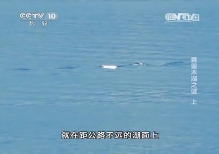 中国的水怪有哪些_中国知名水怪