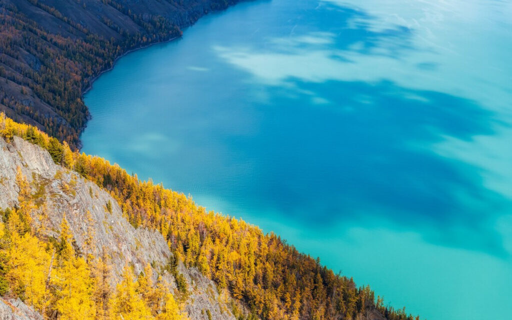 中国的水怪有哪些_中国知名水怪