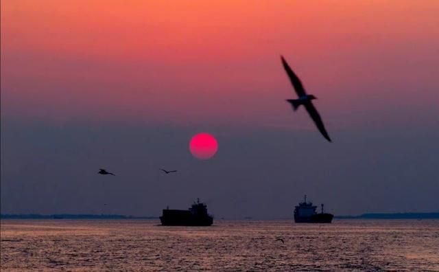 形容友谊长久的诗句子（形容友谊长存的经典诗句）(图2)