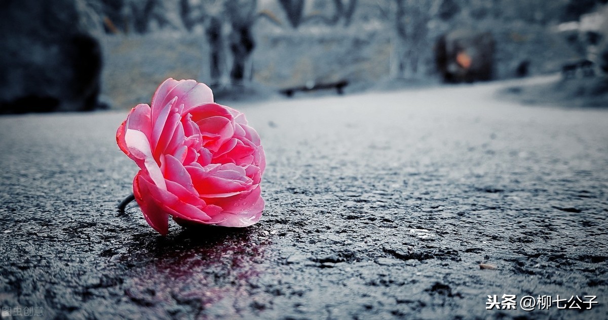 拉黑和删除的区别（拉黑和删掉哪个是真分手）(图4)