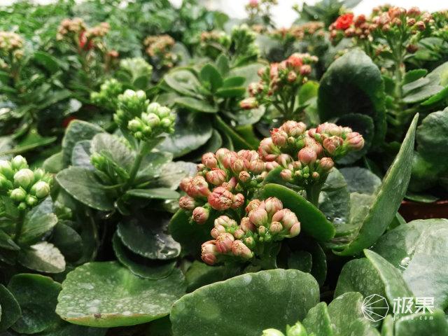 华为g7plus开箱（集自拍神器和微单于一身的手机）(19)