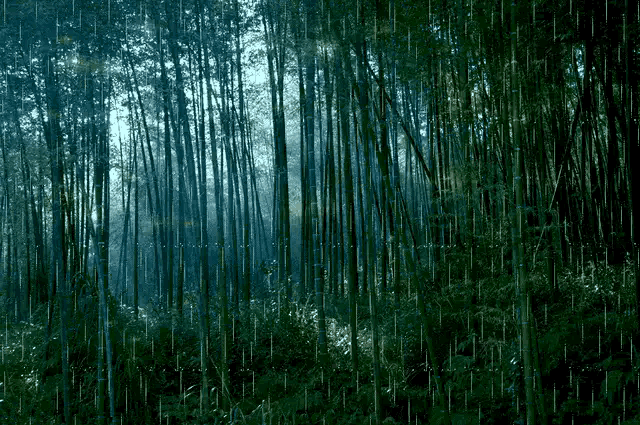 杜甫经典名诗30首（诗圣杜甫十二首经典诗歌赏析合集）(3)