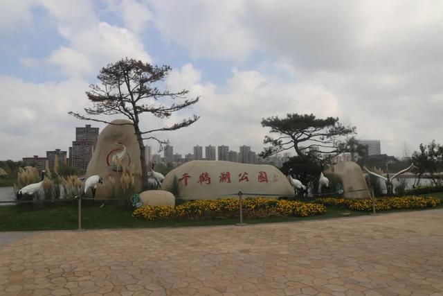 马拉松线路图详细介绍盐城（盐城最美跑步线路详情来啦）(5)