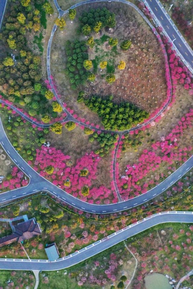 马拉松线路图详细介绍盐城（盐城最美跑步线路详情来啦）(25)