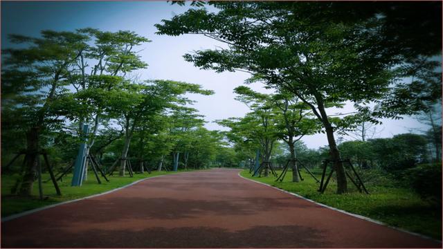 马拉松线路图详细介绍盐城（盐城最美跑步线路详情来啦）(21)