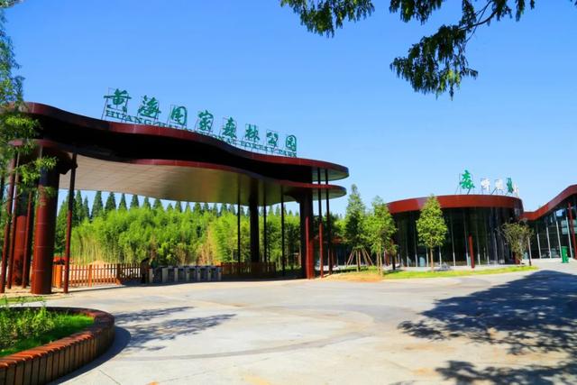 马拉松线路图详细介绍盐城（盐城最美跑步线路详情来啦）(13)