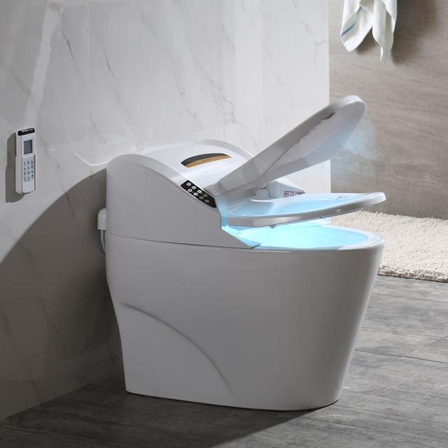 智能马桶到底值不值得买（别被智能马桶的噱头骗了）(5)