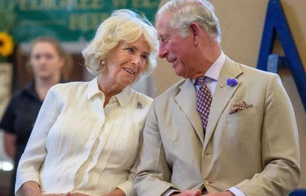 查尔斯 王储（查尔斯继位小三）(24)