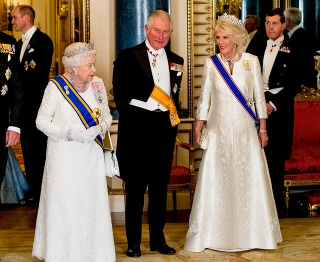 查尔斯 王储（查尔斯继位小三）(25)