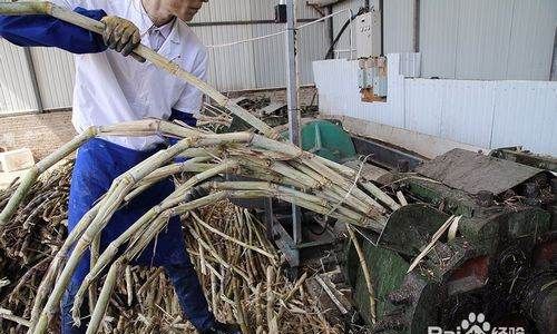 石蜂糖是什么做成的,石蜂糖是什么糖图6